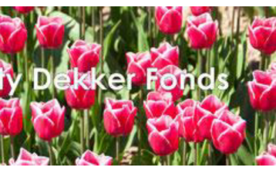 Hulp voor jouw medewerkers in de knel