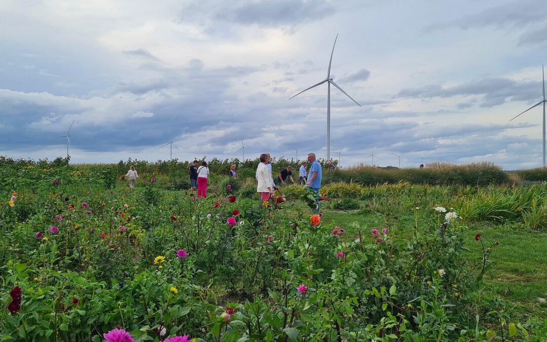 OVDD op bezoek bij Hanneke’s Pluktuin