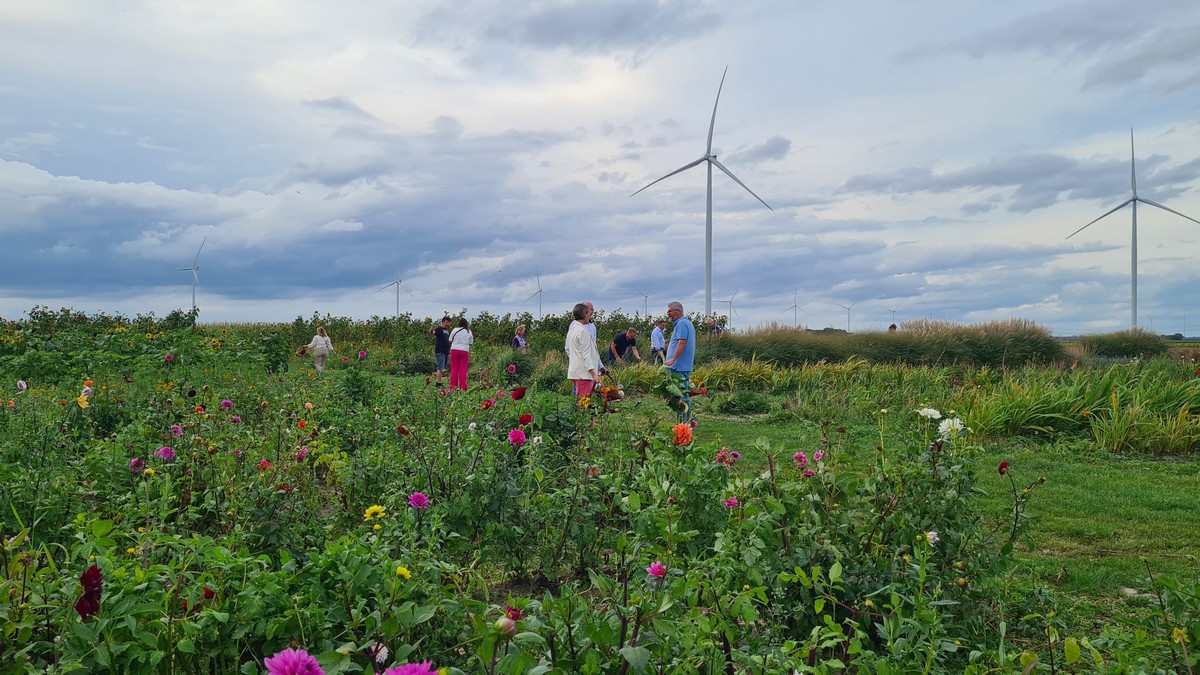 foto pluktuin met ondernemers
